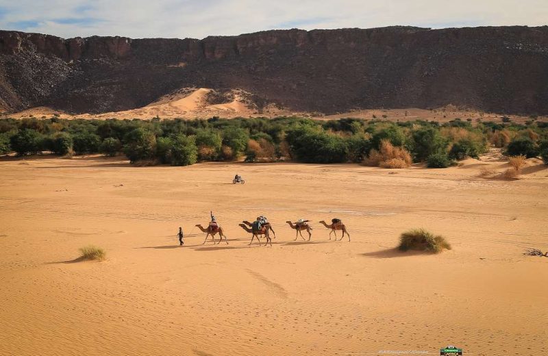 Africa Race 2019 – Stage #10 : Amodjar/Akjoujt — 73