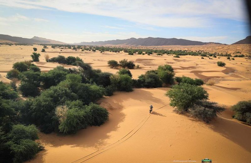 Africa Race 2019 – Stage #10 : Amodjar/Akjoujt — 74