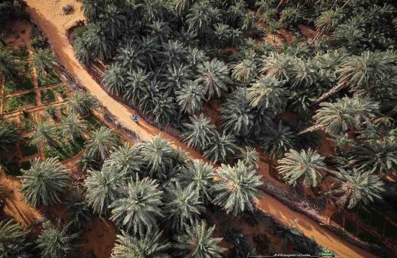 Africa Race 2019 – Stage #10 : Amodjar/Akjoujt — 57