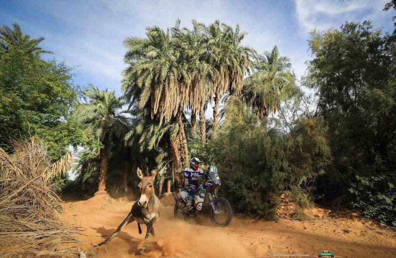 Africa Race 2019 – Stage #10 : Amodjar/Akjoujt — 60