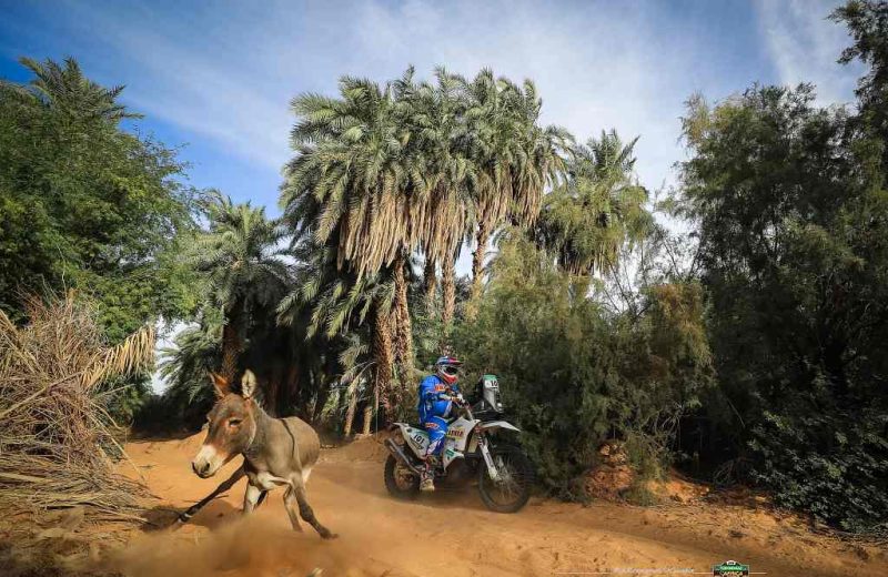 Africa Race 2019 – Stage #10 : Amodjar/Akjoujt — 61
