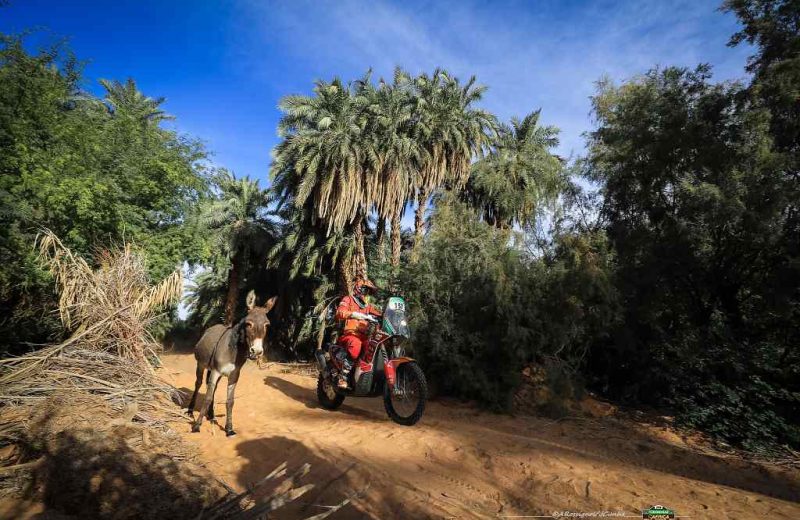 Africa Race 2019 – Stage #10 : Amodjar/Akjoujt — 62