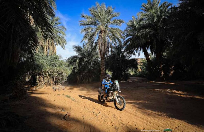 Africa Race 2019 – Stage #10 : Amodjar/Akjoujt — 64