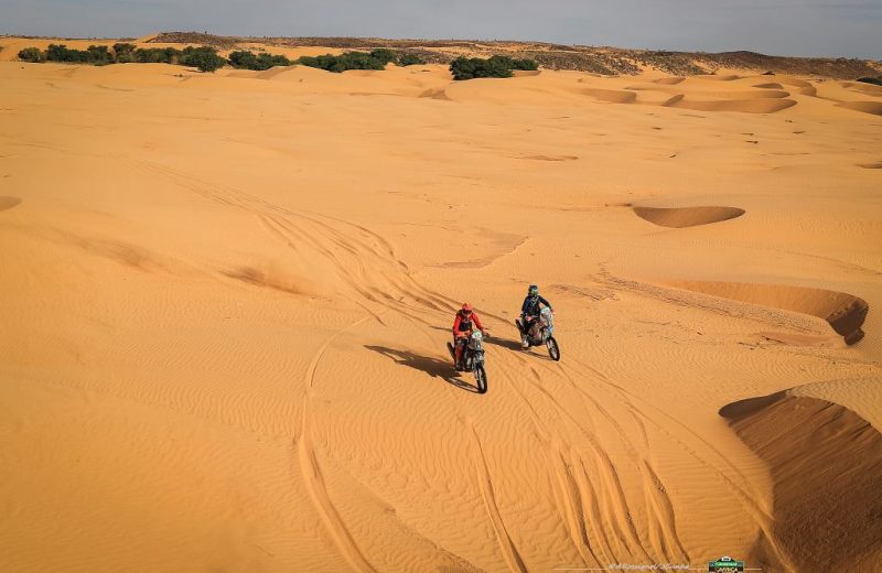 Africa Race 2019 – Stage #10 : Amodjar/Akjoujt — 47
