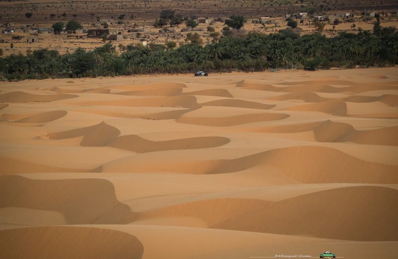 Africa Race 2019 – Stage #10 : Amodjar/Akjoujt — 50