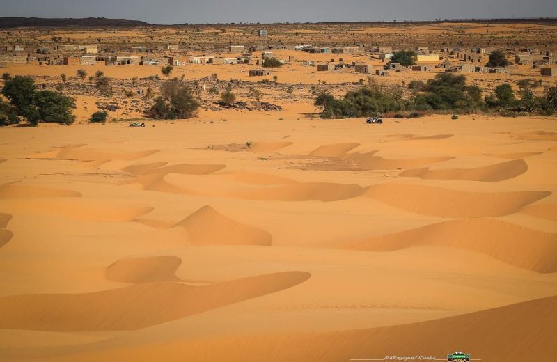 Africa Race 2019 – Stage #10 : Amodjar/Akjoujt — 51