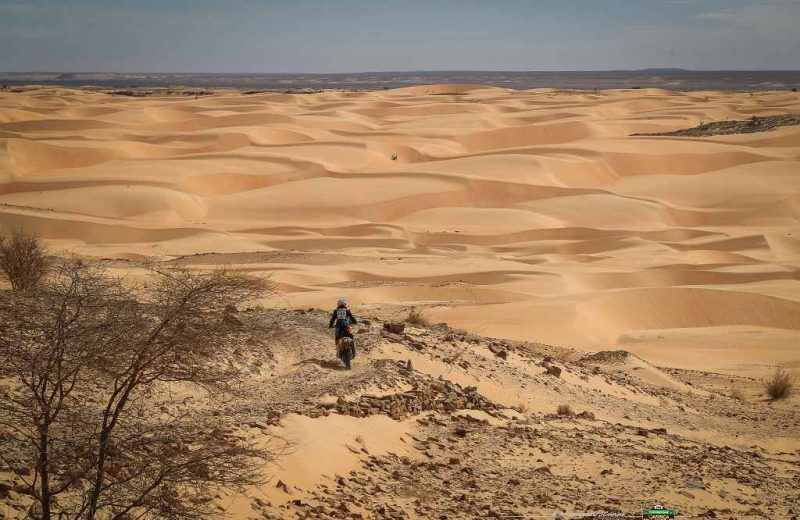 Africa Race 2019 – Stage #10 : Amodjar/Akjoujt — 26