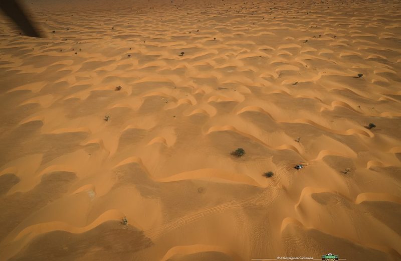 Africa Race 2019 – Stage #10 : Amodjar/Akjoujt — 20