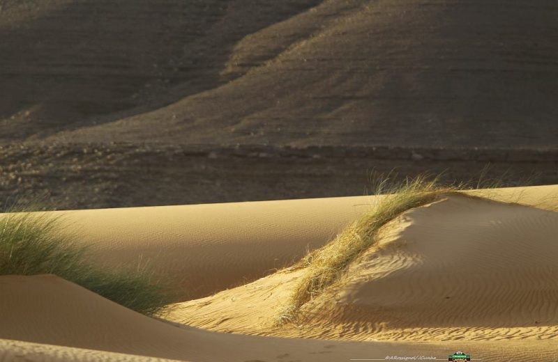 Africa Race 2019 – Stage #10 : Amodjar/Akjoujt — 166
