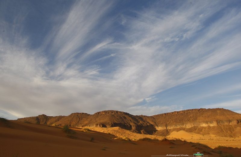 Africa Race 2019 – Stage #10 : Amodjar/Akjoujt — 168