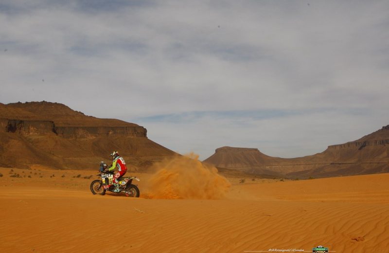 Africa Race 2019 – Stage #10 : Amodjar/Akjoujt — 146