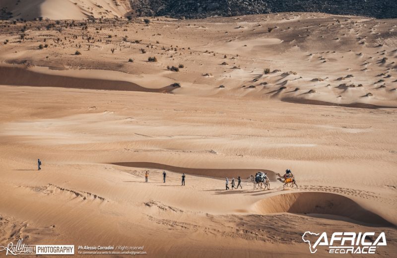 Africa Race 2019 – Stage #10 : Amodjar/Akjoujt — 329