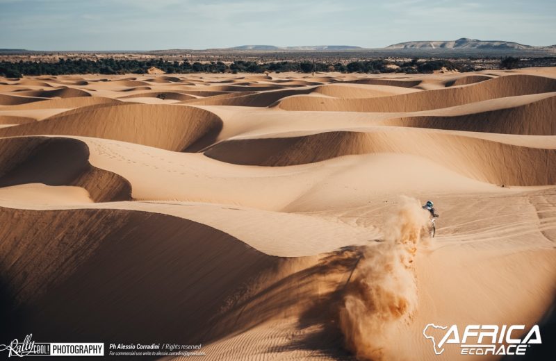 Africa Race 2019 – Stage #10 : Amodjar/Akjoujt — 323