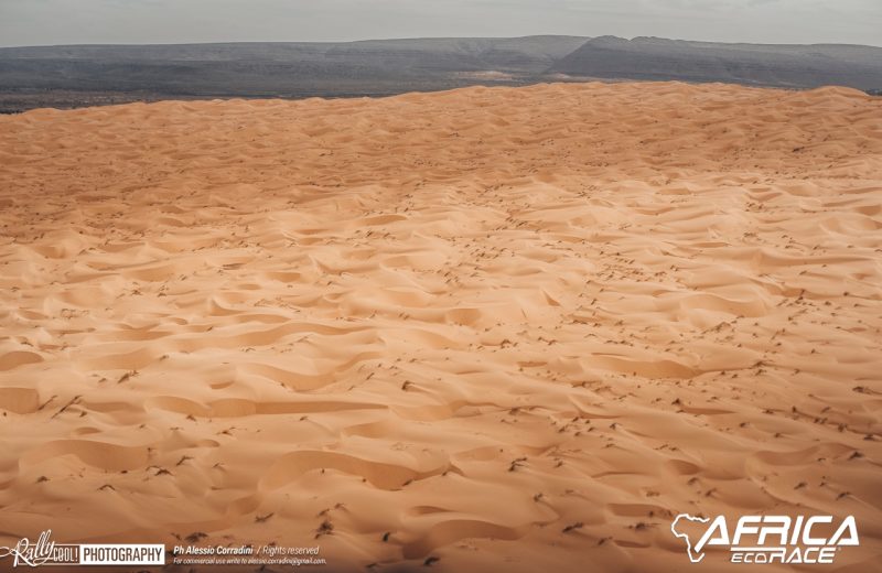 Africa Race 2019 – Stage #10 : Amodjar/Akjoujt — 316