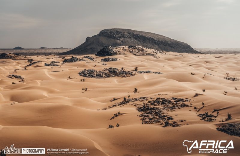 Africa Race 2019 – Stage #10 : Amodjar/Akjoujt — 295
