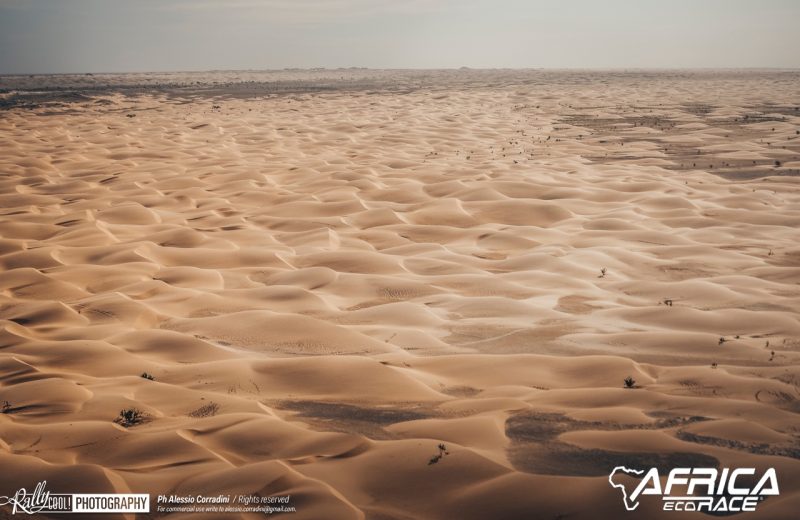 Africa Race 2019 – Stage #10 : Amodjar/Akjoujt — 319