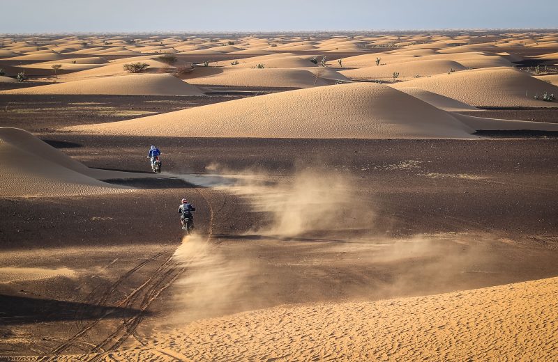 Africa Race 2019 – Stage #11 : Akjoujt/Saint Louis — 44