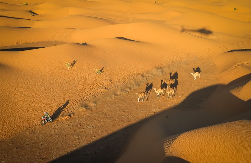 Africa Race 2019 – Stage #11 : Akjoujt/Saint Louis — 45