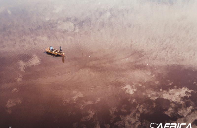 Africa Race 2019 – Stage #12 : Saint Louis/Dakar — 128