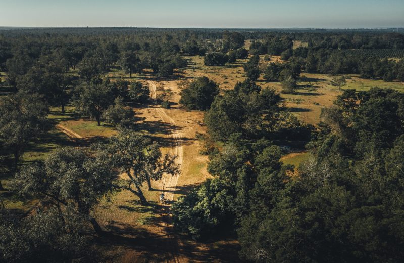 Africa Race 2020 – Etape N°1 : Tanger/Tarda — 139