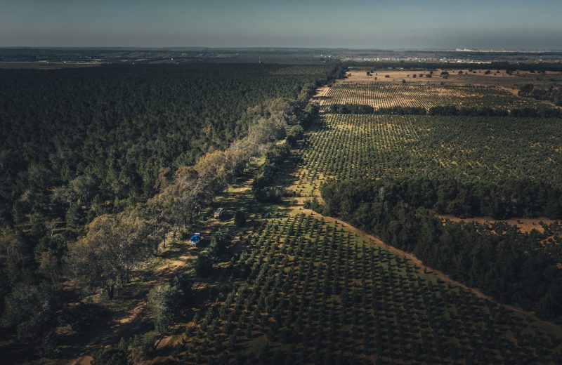 Africa Race 2020 – Etape N°1 : Tanger/Tarda — 124