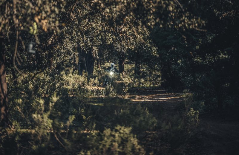 Africa Race 2020 – Etape N°1 : Tanger/Tarda — 110