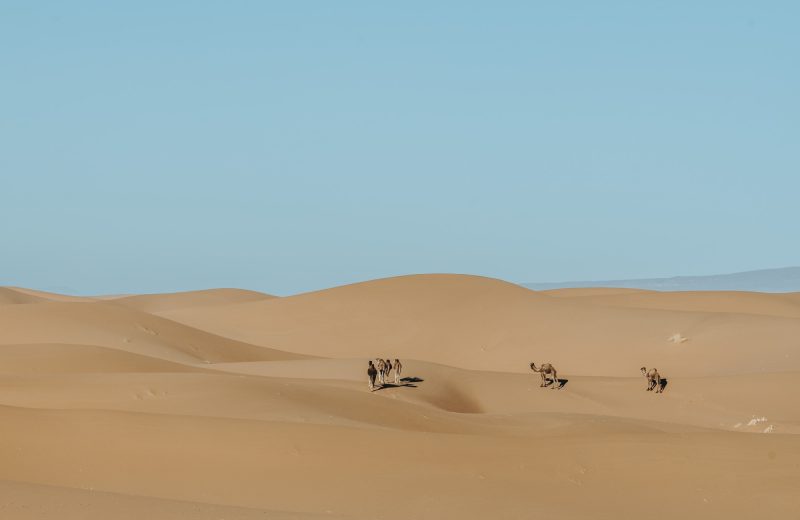 Africa Race 2020 – Etape N°3 : Mhamid/Assa — 35