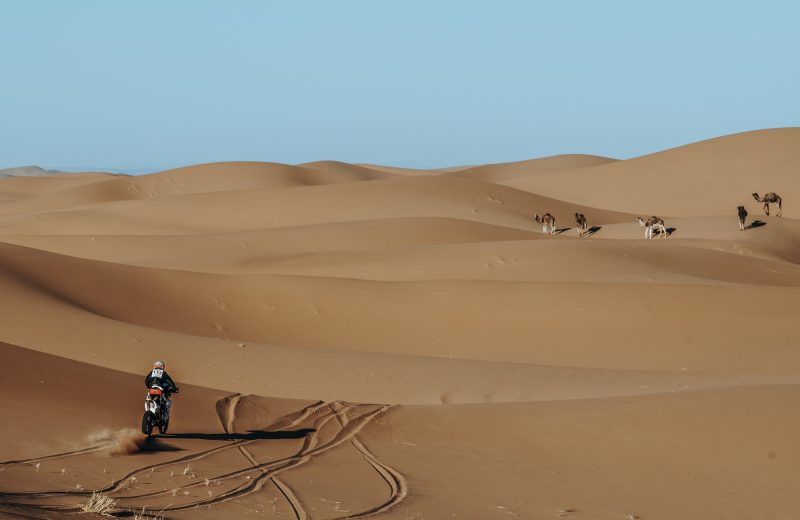 Africa Race 2020 – Etape N°3 : Mhamid/Assa — 37