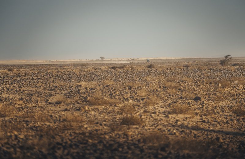 Africa Race 2020 – Etape N°5 : Smara/Dahkla — 35