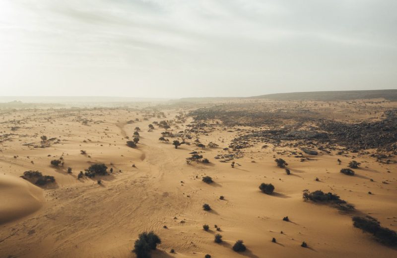 Africa Race 2020 – Etape N°10 : Tidjikja / Idini — 21