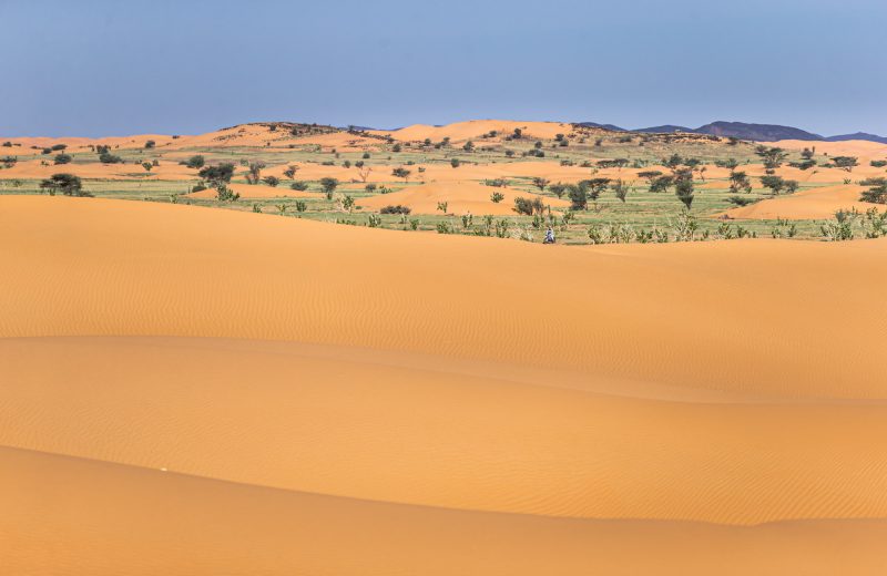 Africa Race 2022 – Etape N°9 : Akjoujt / Ouad Naga — 24